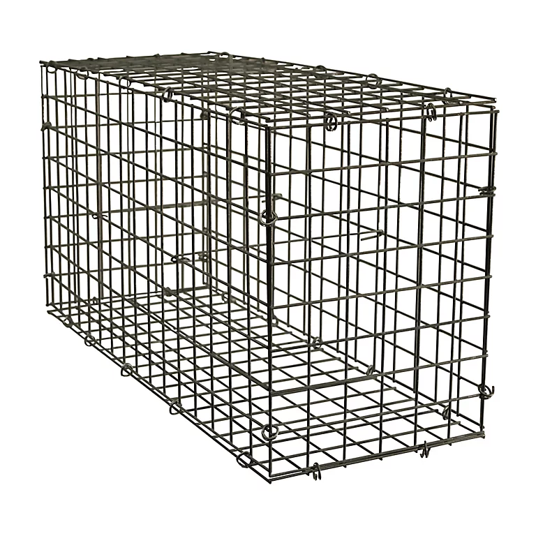 Castorama Kit Gabion Blooma Gabbiana 80 X 30 X H.40 Cm 3 Castorama Kit Gabion Blooma Gabbiana 80 X 30 X H.40 Cm